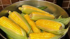 Cum și cât timp se fierbe porumbul – și ce ar trebui să adaugi în apă pentru ca acesta să devină moale