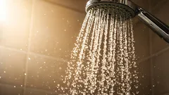 Cum să curățați capul de duș de depunerile de calcar: metoda folosită de instalatori