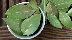 De ce pun oamenii frunze de lămâie în ghivecele cu plante de interior?